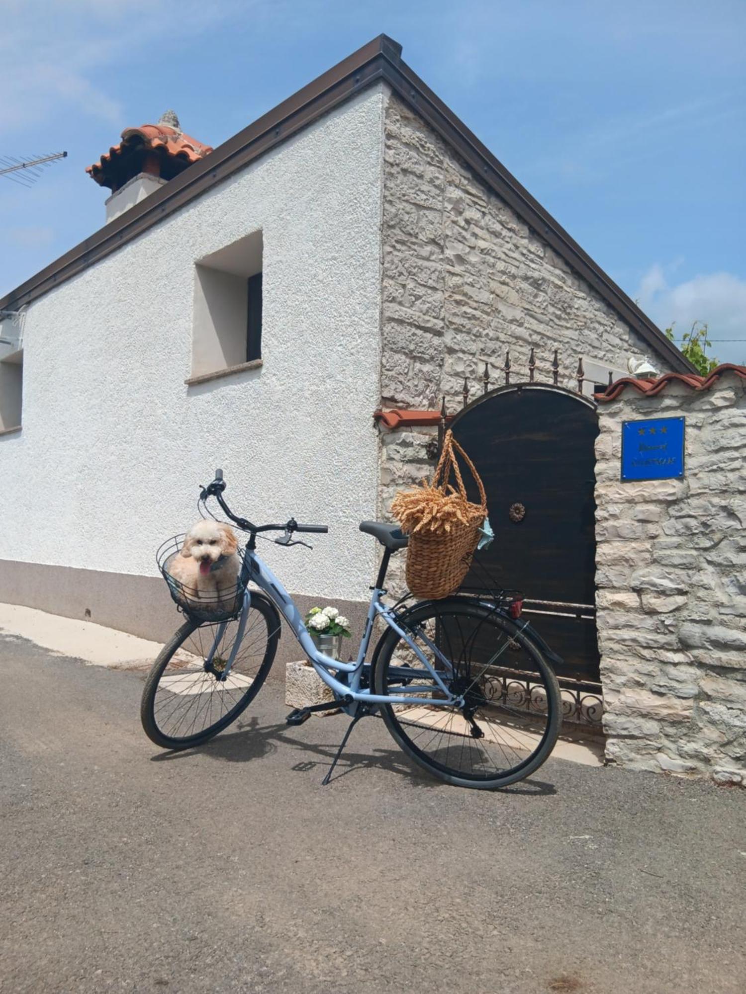 Authentic Istria&Pet Friendly Apartment Banko Near Rovinj 칸파나르 외부 사진