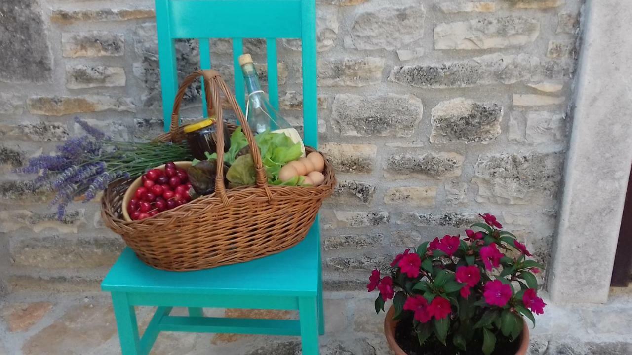 Authentic Istria&Pet Friendly Apartment Banko Near Rovinj 칸파나르 외부 사진