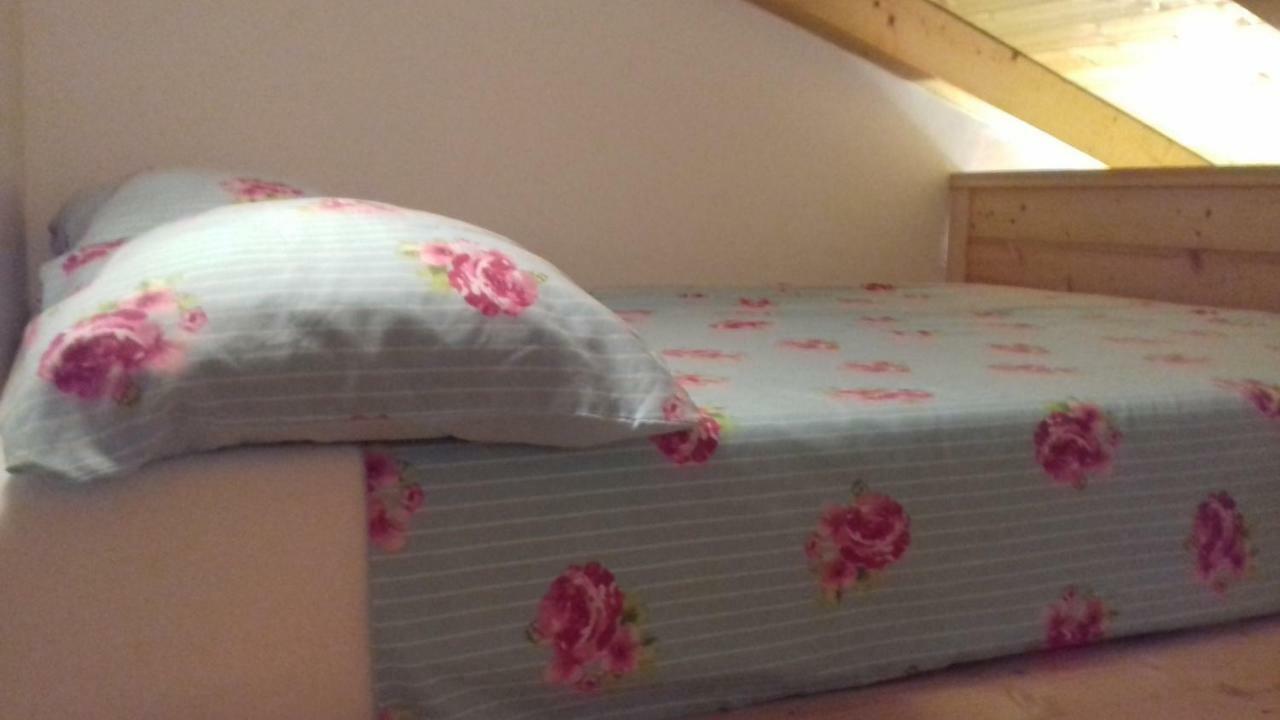 Authentic Istria&Pet Friendly Apartment Banko Near Rovinj 칸파나르 외부 사진