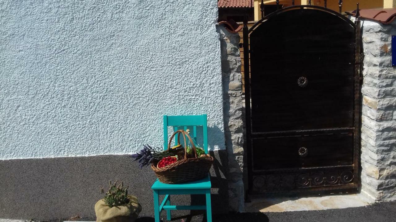 Authentic Istria&Pet Friendly Apartment Banko Near Rovinj 칸파나르 외부 사진