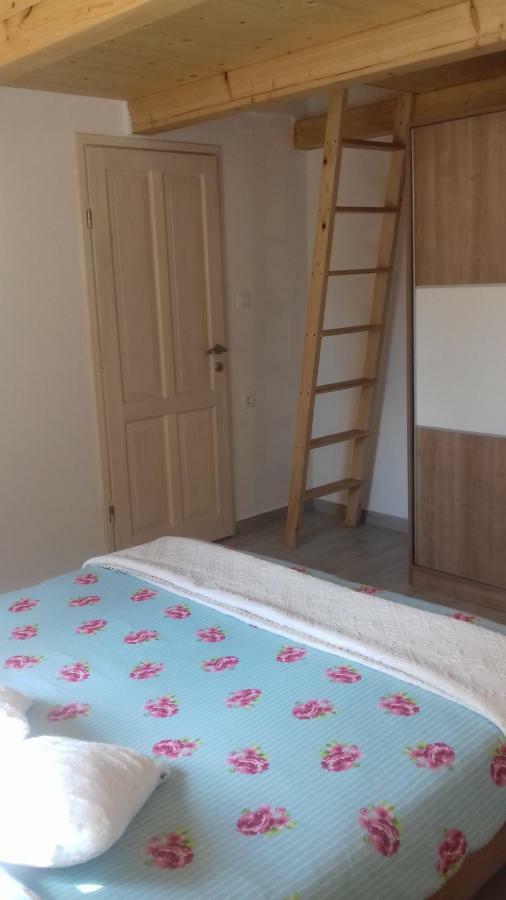Authentic Istria&Pet Friendly Apartment Banko Near Rovinj 칸파나르 외부 사진